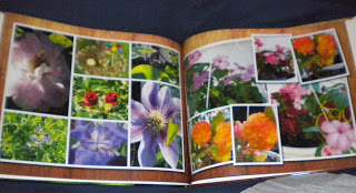 20-page Custom Classic Hardcover Photo Book via Picaboo